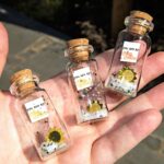 "You are my Sunshine" Personalized Gift For Dad - AwwBottles